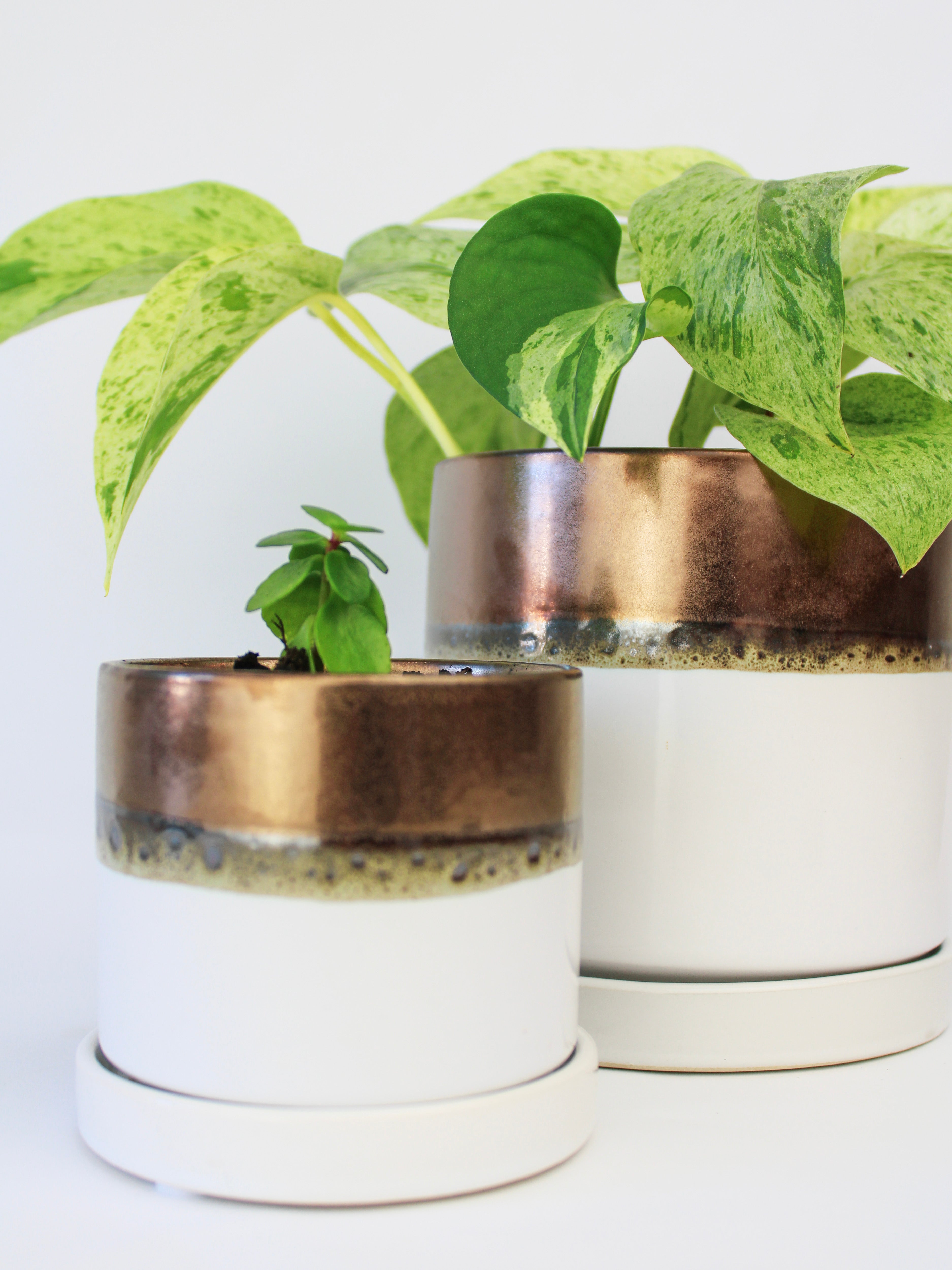 Bronze White Ceramic Plant Pot and Saucer