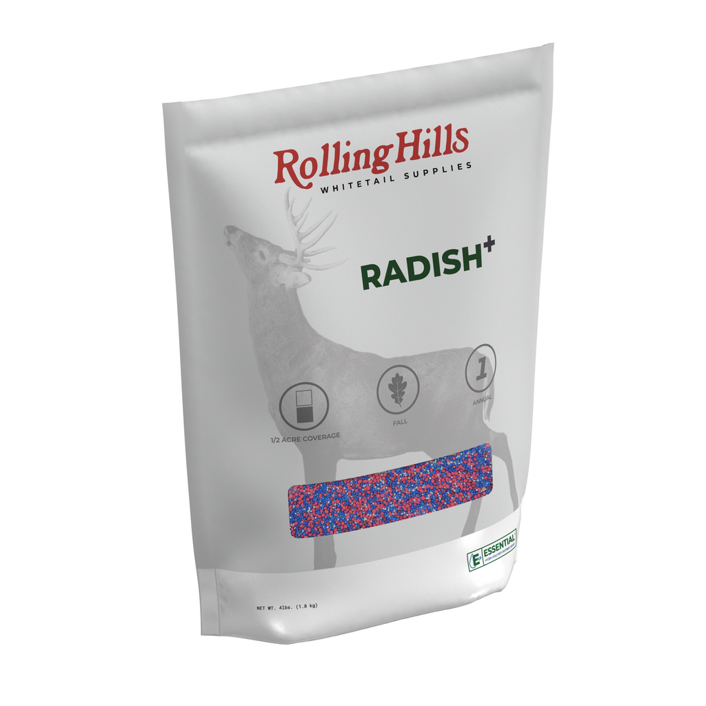 Radish+
