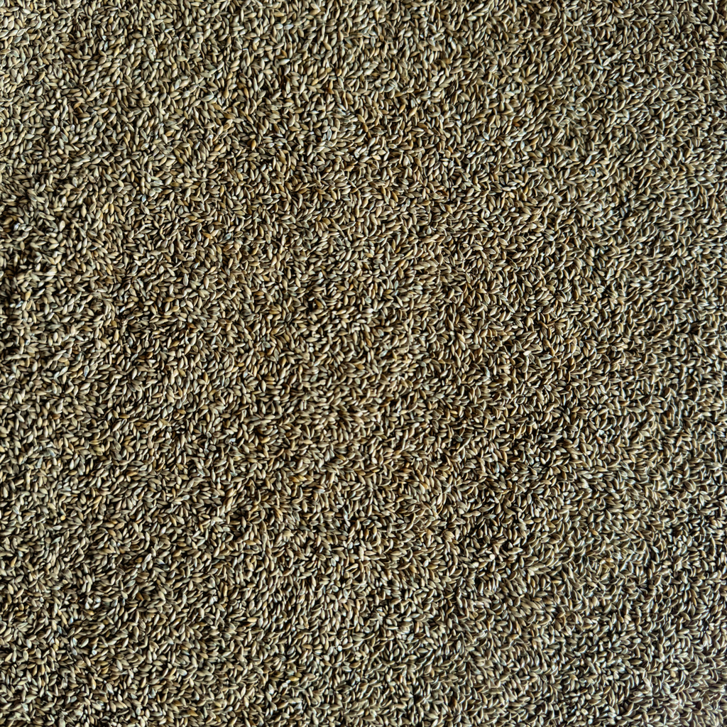 SwitchGrass