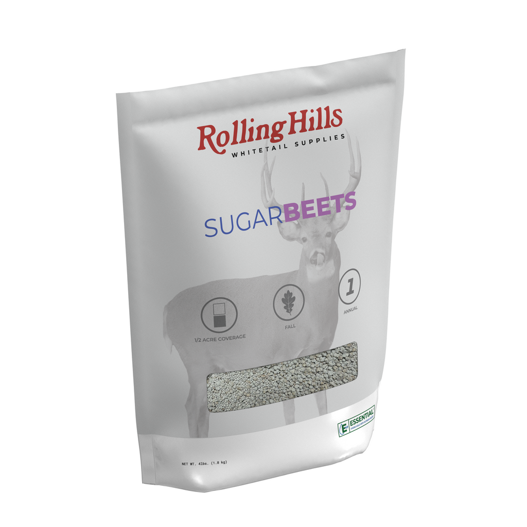 SugarBeets
