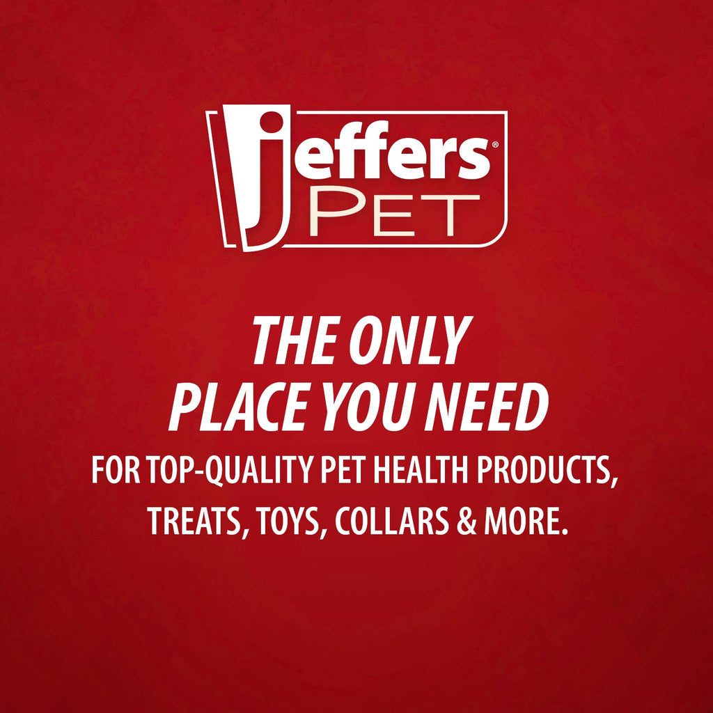 Jeffers Red Seahorse Natural Rubber Dog Chew Toy with Vanilla Scent and Textured Ridges for Dental Health
