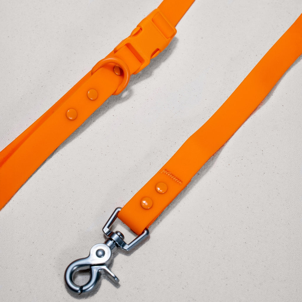 Tilley + Me PVC Handsfree Dog Leash - All Weather Waterproof Durable & Odor-Resistant