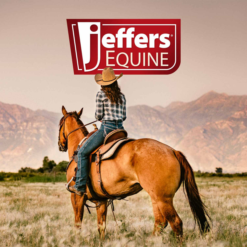 Jeffers Equine Citronella Aloe All-Natural Horse Shampoo