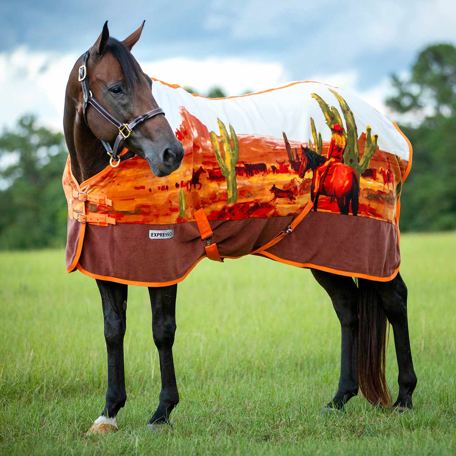Jeffers Expression Standard Neck Fleece Horse Cooler