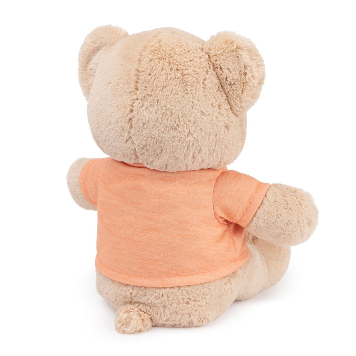 You Are my Sunshine Message Bear